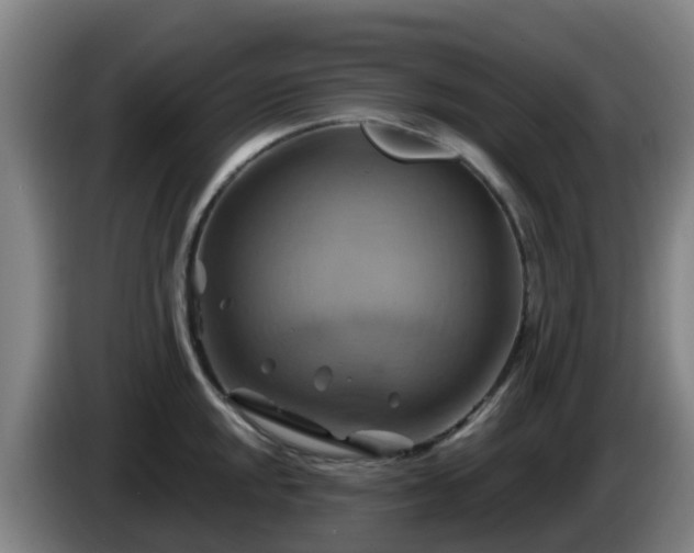 X0000086021048200703301028