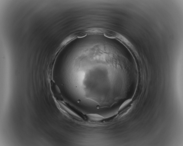 X0000086021049200703301028
