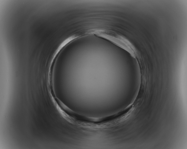 X0000086021050200703301028