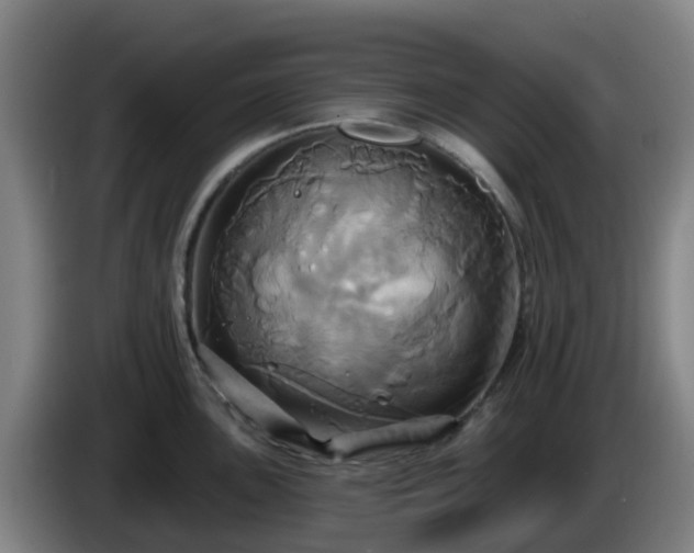 X0000086021051200703301028