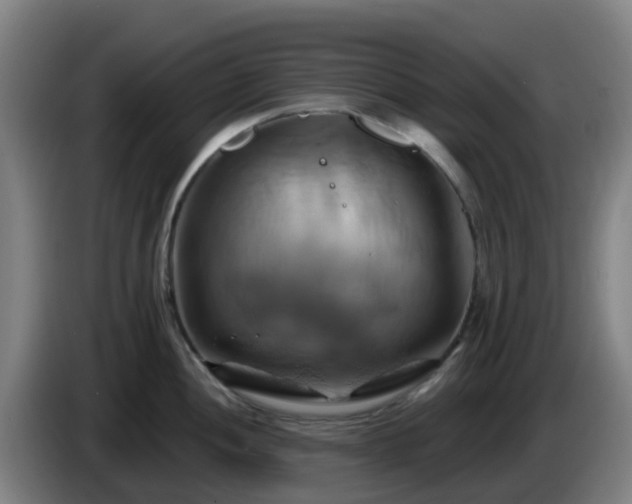 X0000086021052200703301028