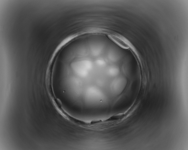 X0000086021053200703301028