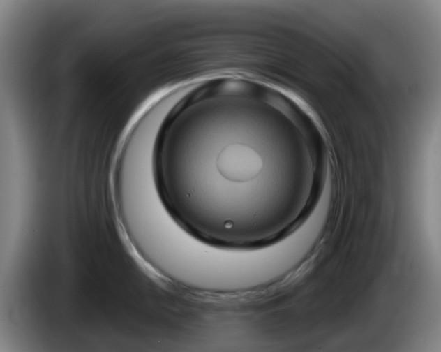 X0000086021054200703301028