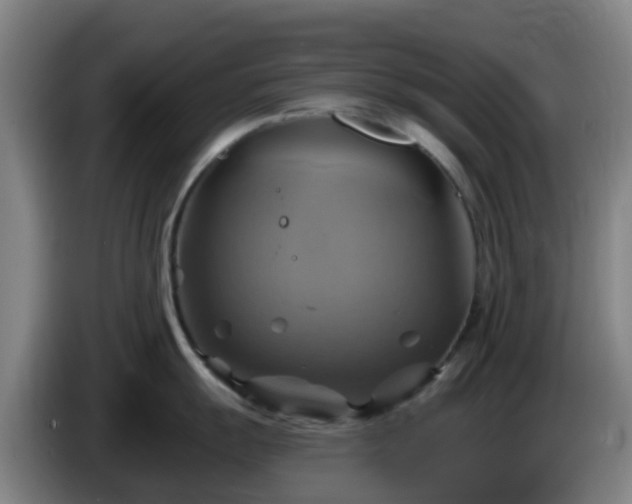 X0000086021055200703301028
