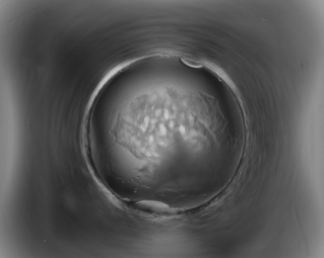 X0000086021056200703301028