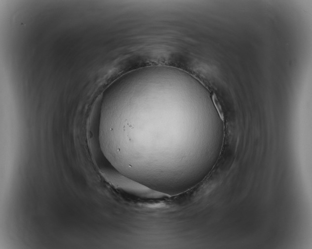 X0000086021057200703301027