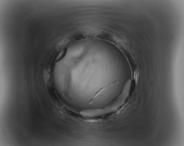 X0000086021059200703301027