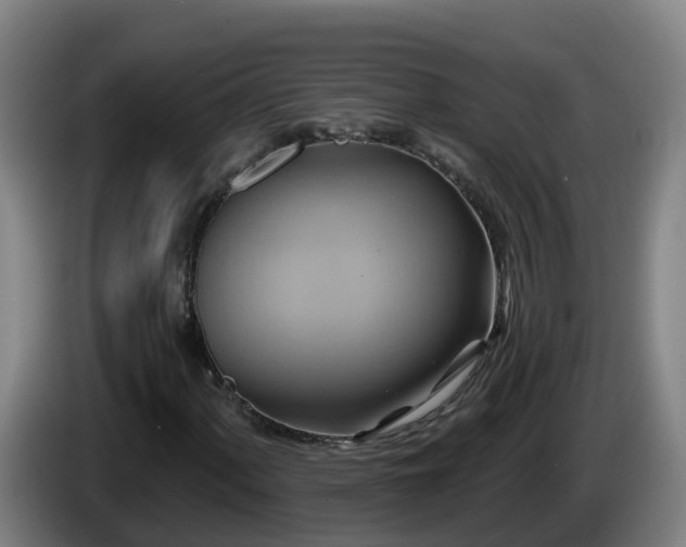 X0000086021060200703301027