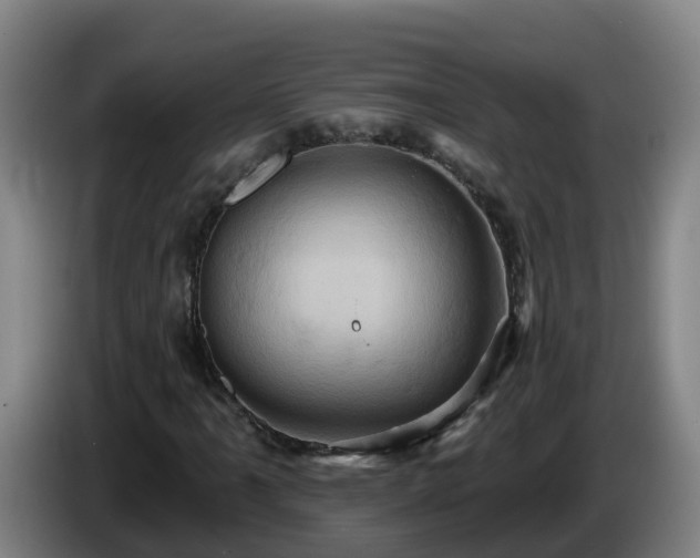X0000086021061200703301027