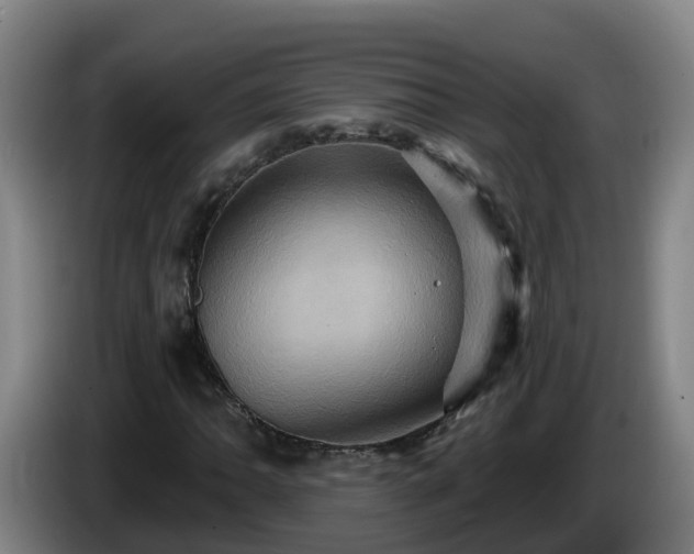 X0000086021062200703301027