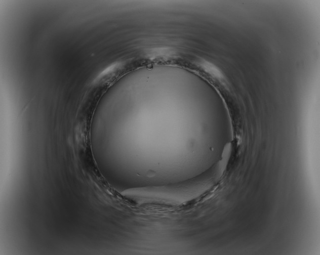 X0000086021063200703301027
