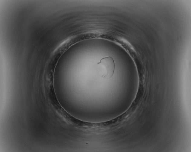 X0000086021064200703301027