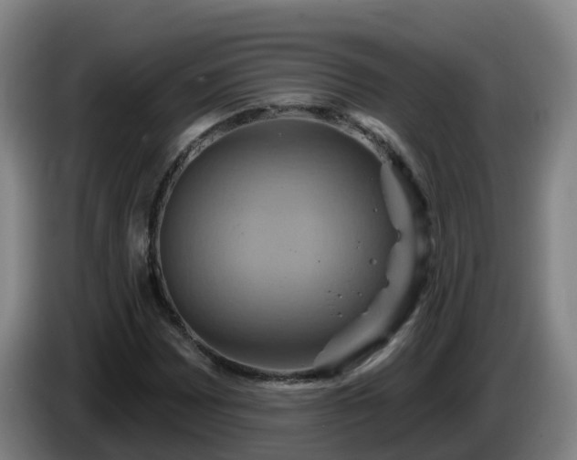 X0000086021065200703301027