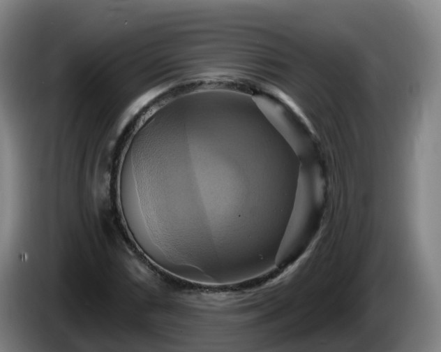 X0000086021066200703301027