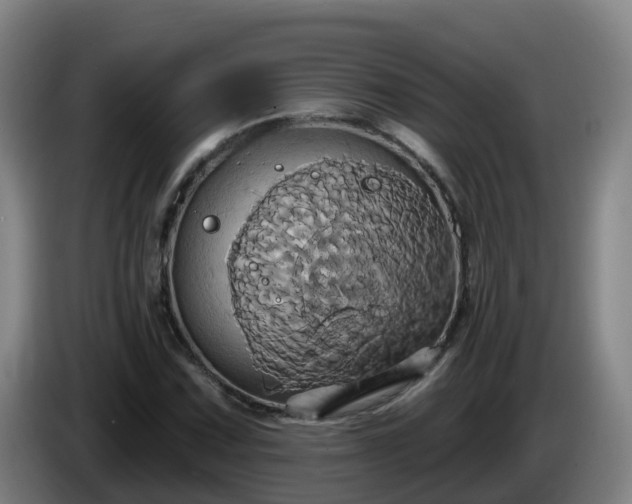 X0000086021067200703301027