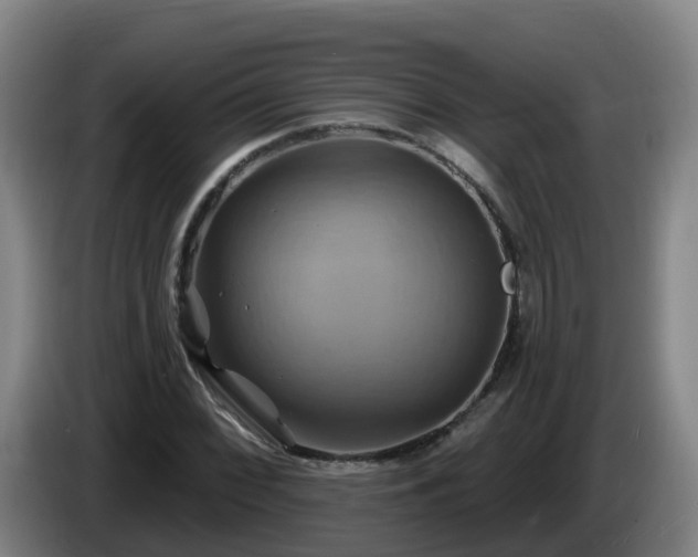 X0000086021068200703301027