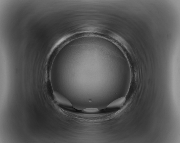 X0000086021069200703301027