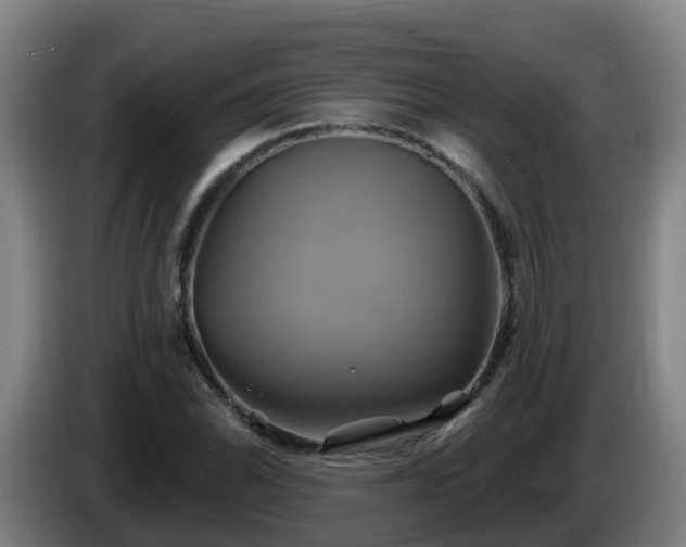 X0000086021070200703301027