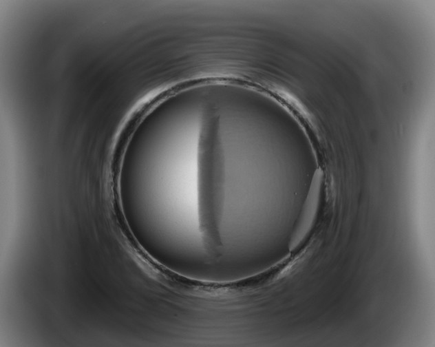 X0000086021072200703301027