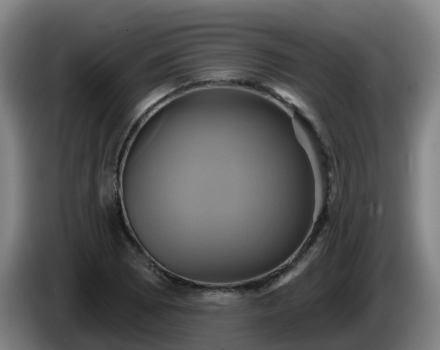 X0000086021073200703301027