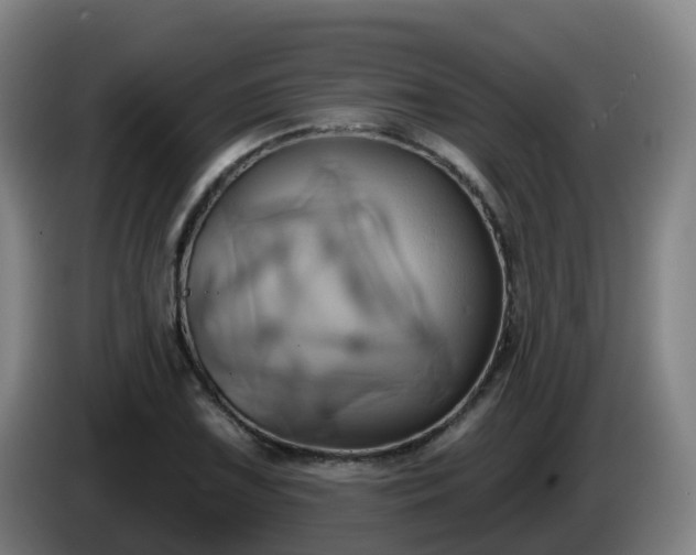 X0000086021075200703301027