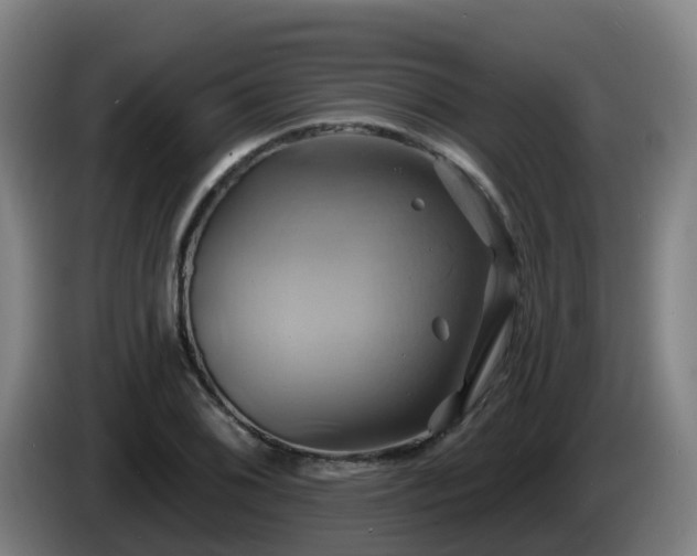 X0000086021076200703301027