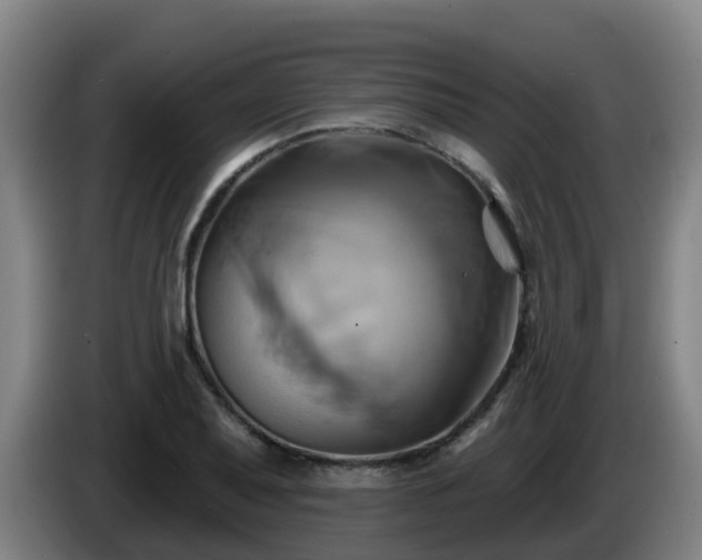 X0000086021079200703301027