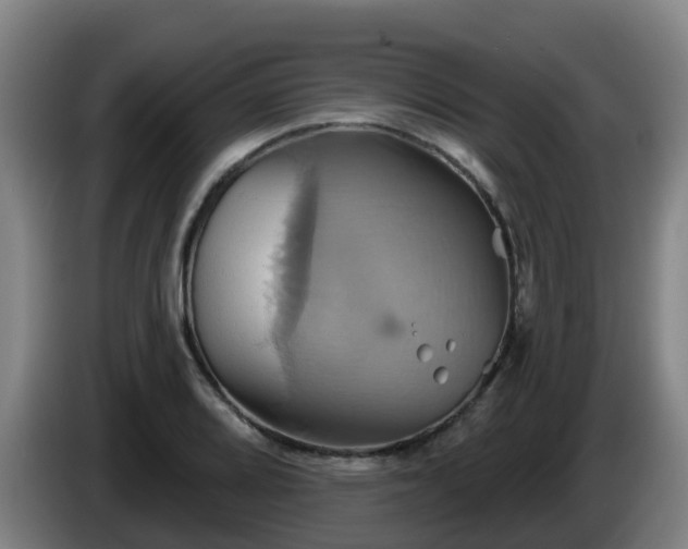 X0000086021080200703301027