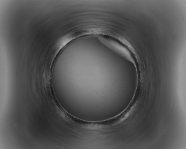X0000086021081200703301027