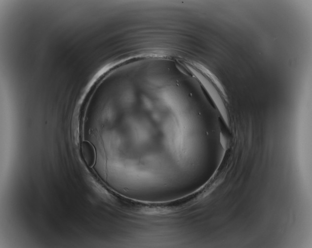 X0000086021083200703301027
