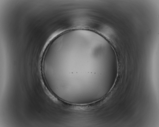 X0000086021086200703301027