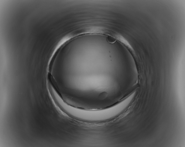 X0000086021087200703301027