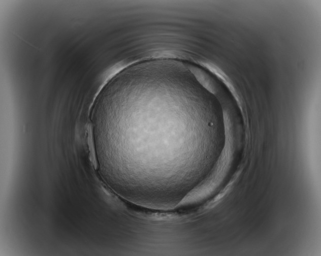 X0000086021089200703301027