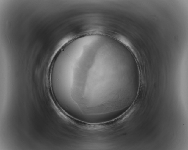 X0000086021090200703301027