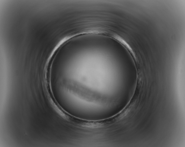 X0000086021091200703301027