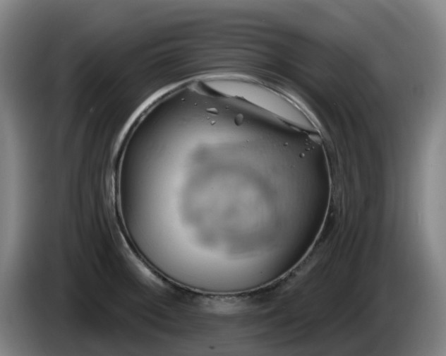 X0000086021092200703301027