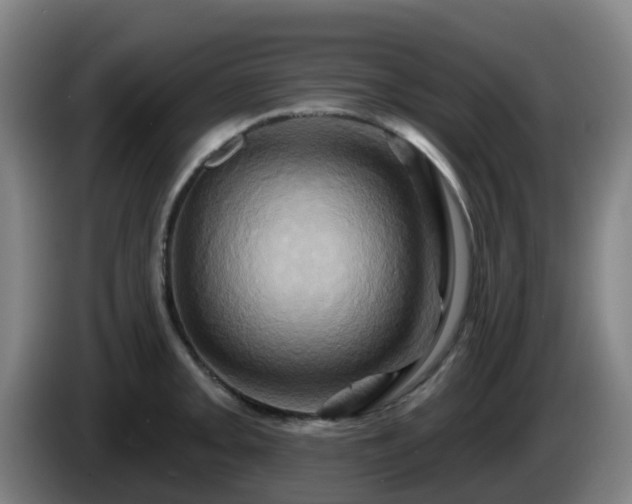 X0000086021093200703301027