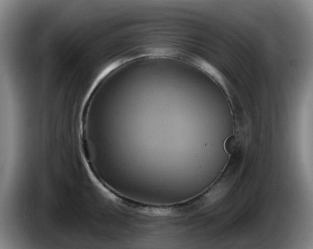 X0000086021095200703301027