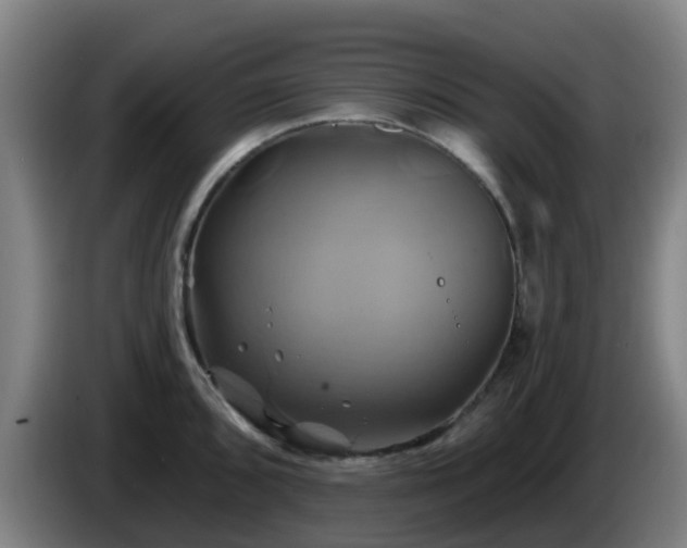 X0000086021096200703301027