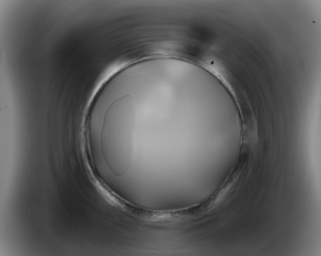X0000086021098200703301027