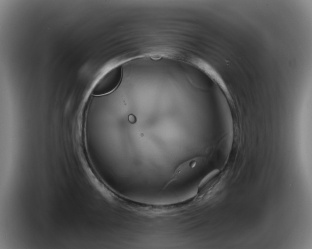 X0000086021099200703301027