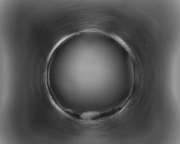 X0000086021100200703301027