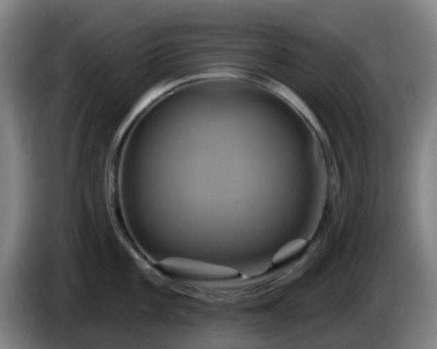 X0000086021101200703301027