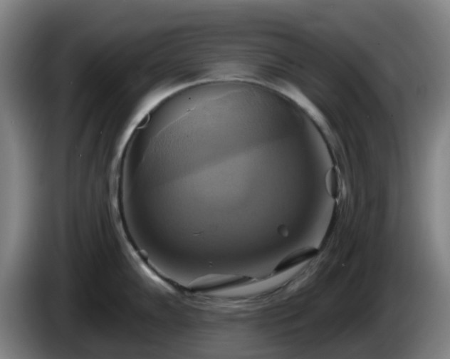 X0000086021102200703301027