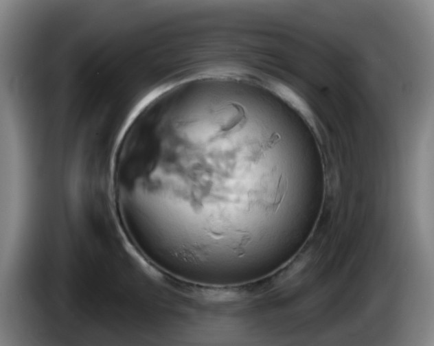 X0000086021103200703301027