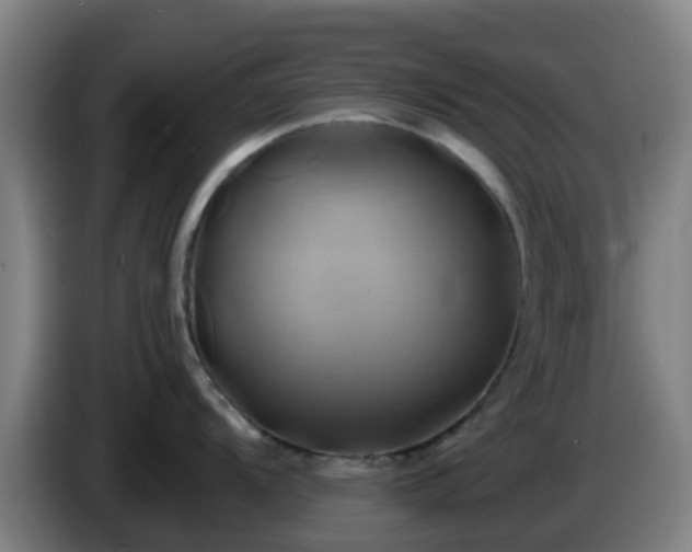 X0000086021104200703301027