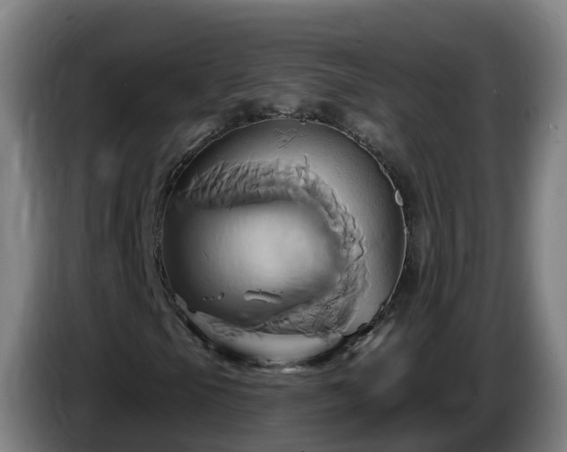 X0000086021105200703301026