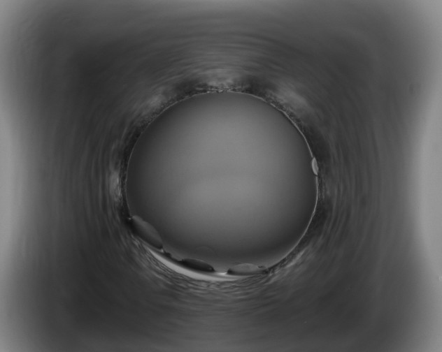 X0000086021106200703301026