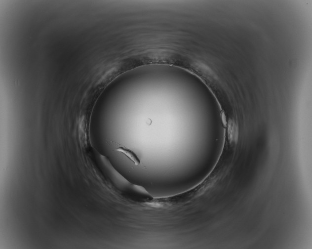 X0000086021107200703301026