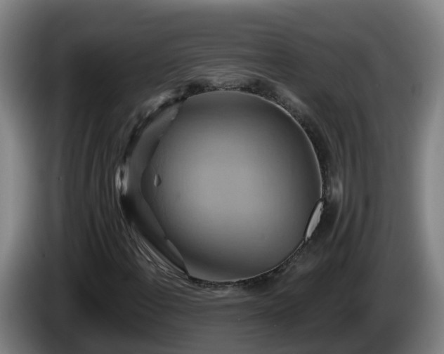 X0000086021108200703301026